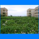 Vacation 041.jpg